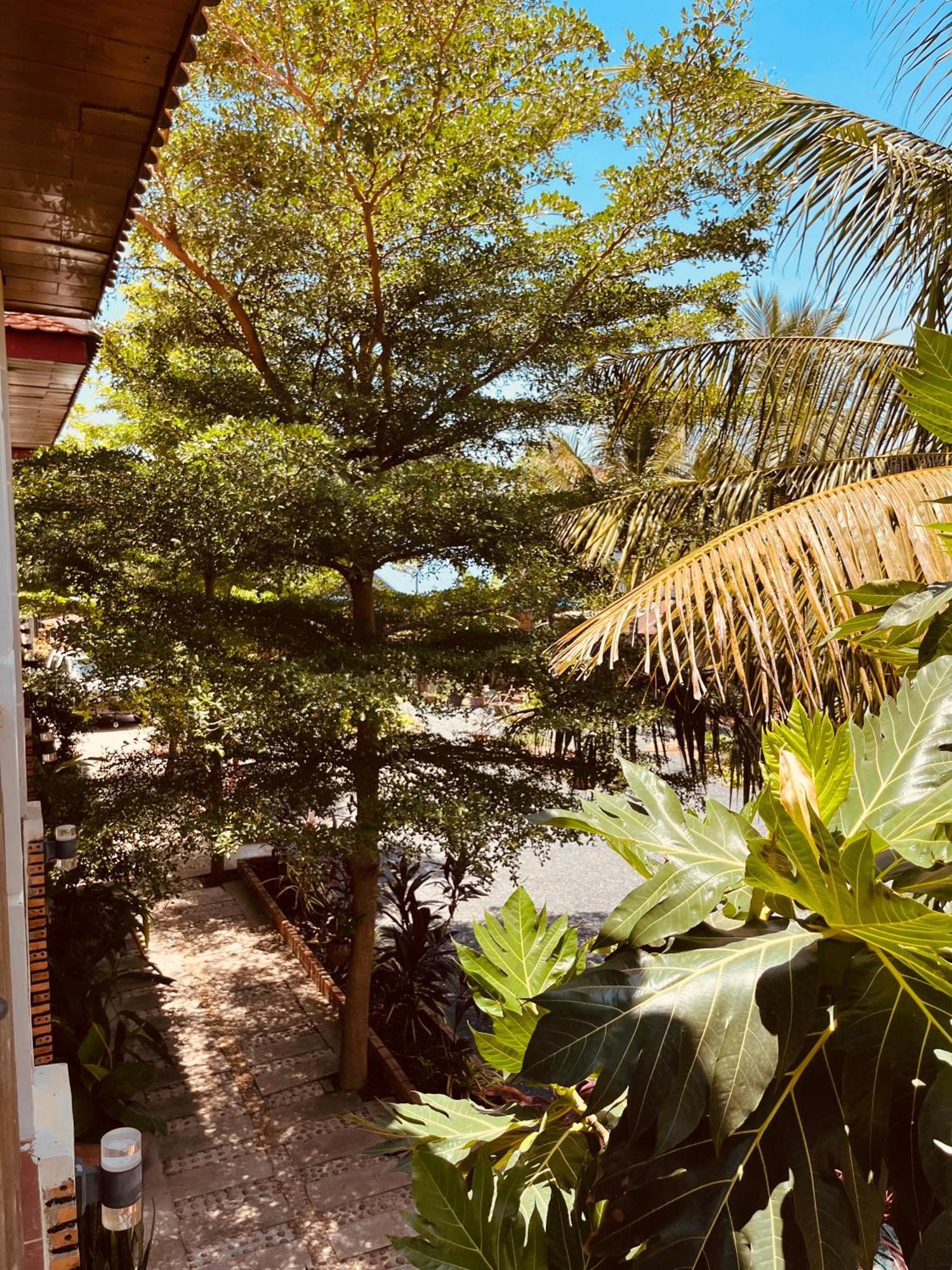 קמפוט Coconut Lodge מראה חיצוני תמונה