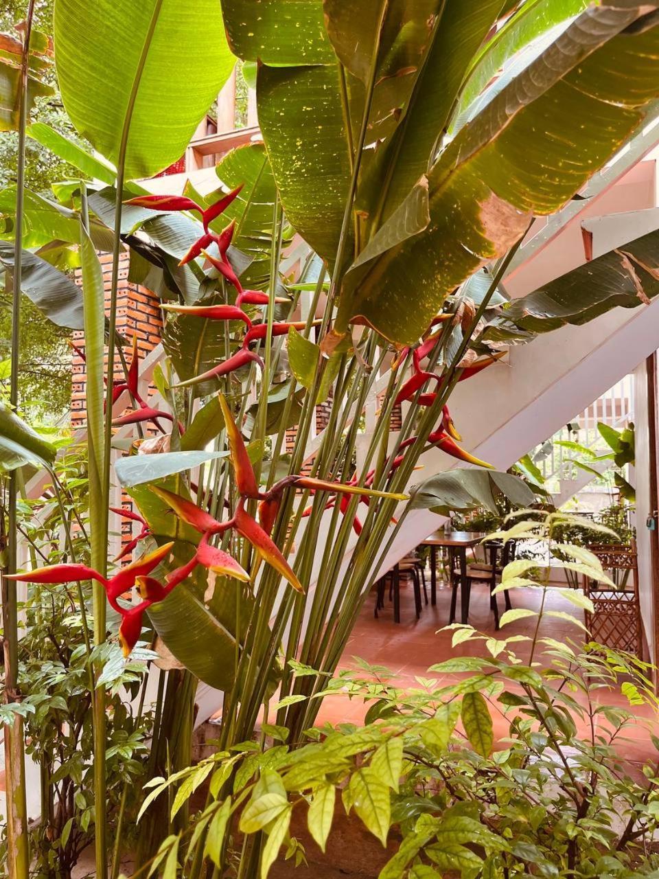 קמפוט Coconut Lodge מראה חיצוני תמונה