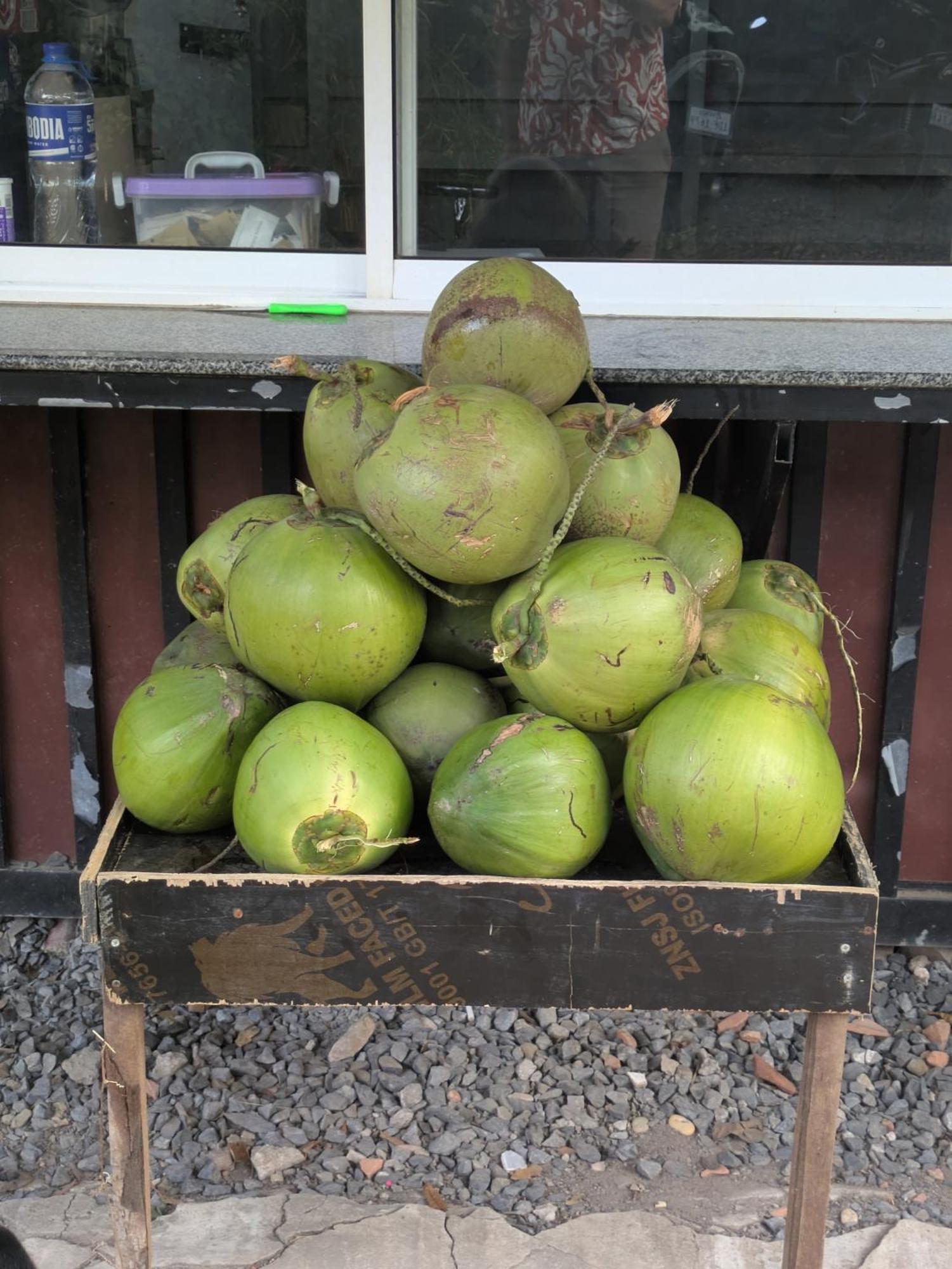 קמפוט Coconut Lodge מראה חיצוני תמונה