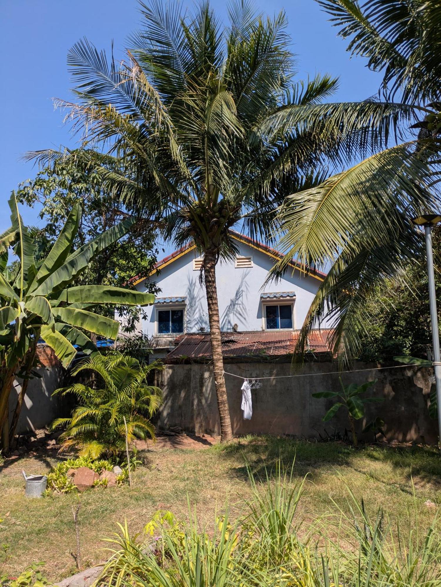 קמפוט Coconut Lodge מראה חיצוני תמונה