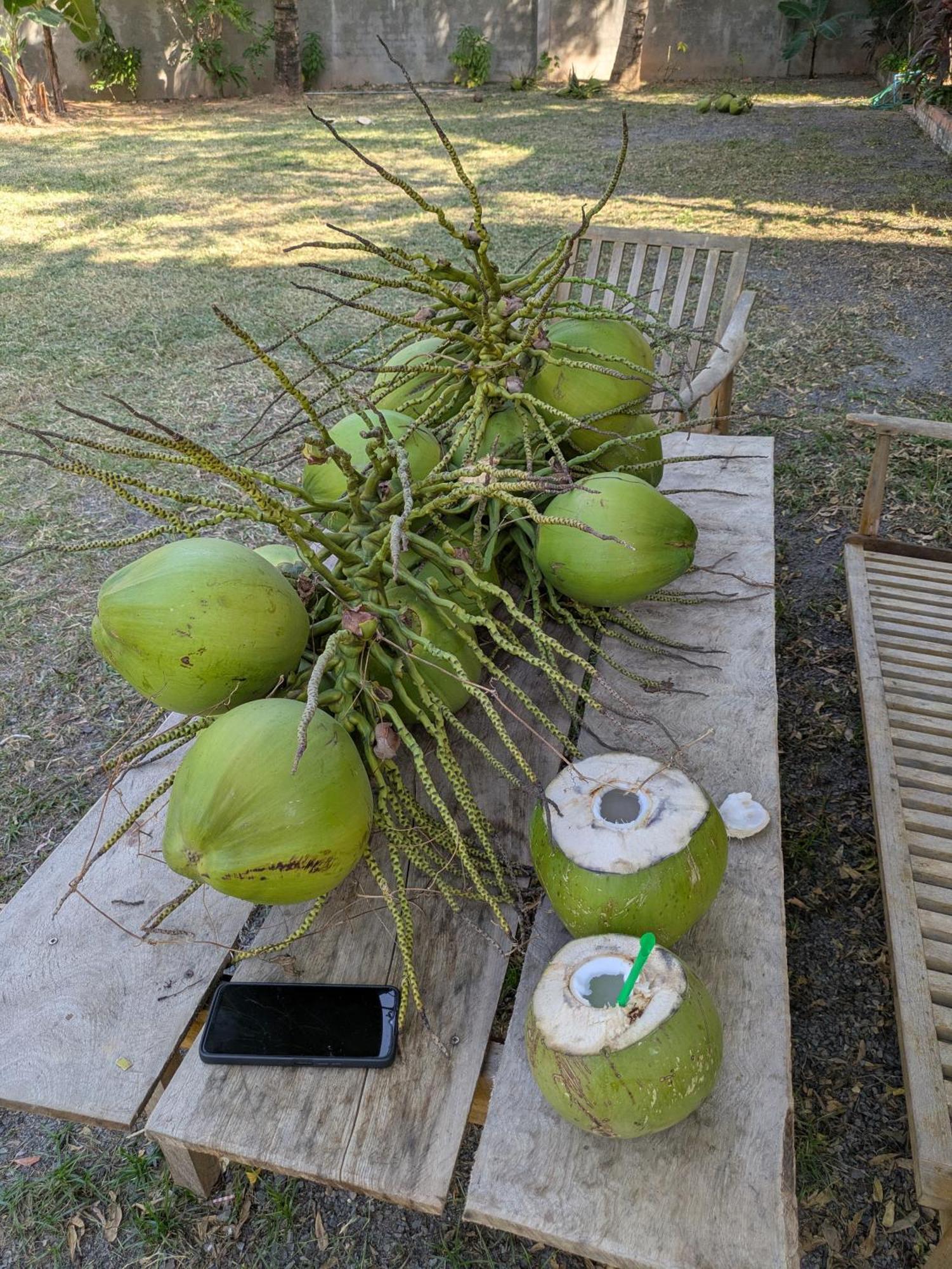 קמפוט Coconut Lodge מראה חיצוני תמונה
