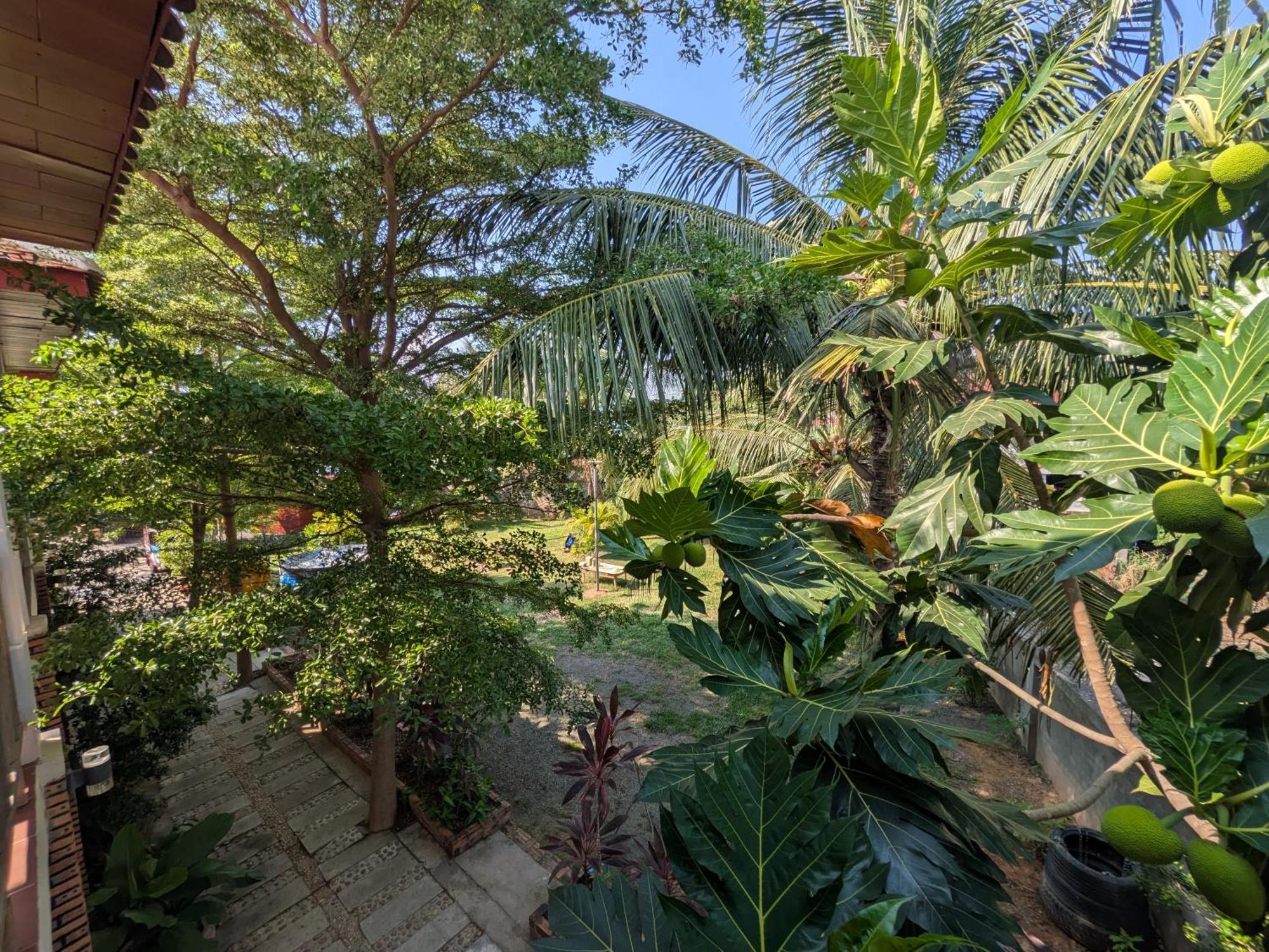 קמפוט Coconut Lodge מראה חיצוני תמונה