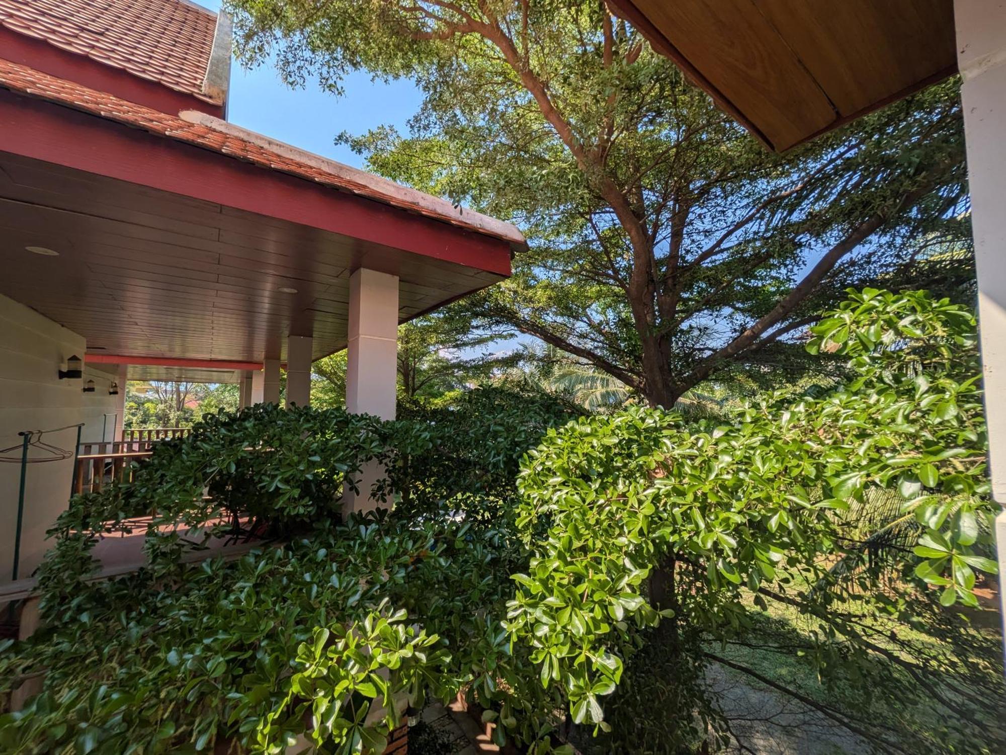 קמפוט Coconut Lodge מראה חיצוני תמונה