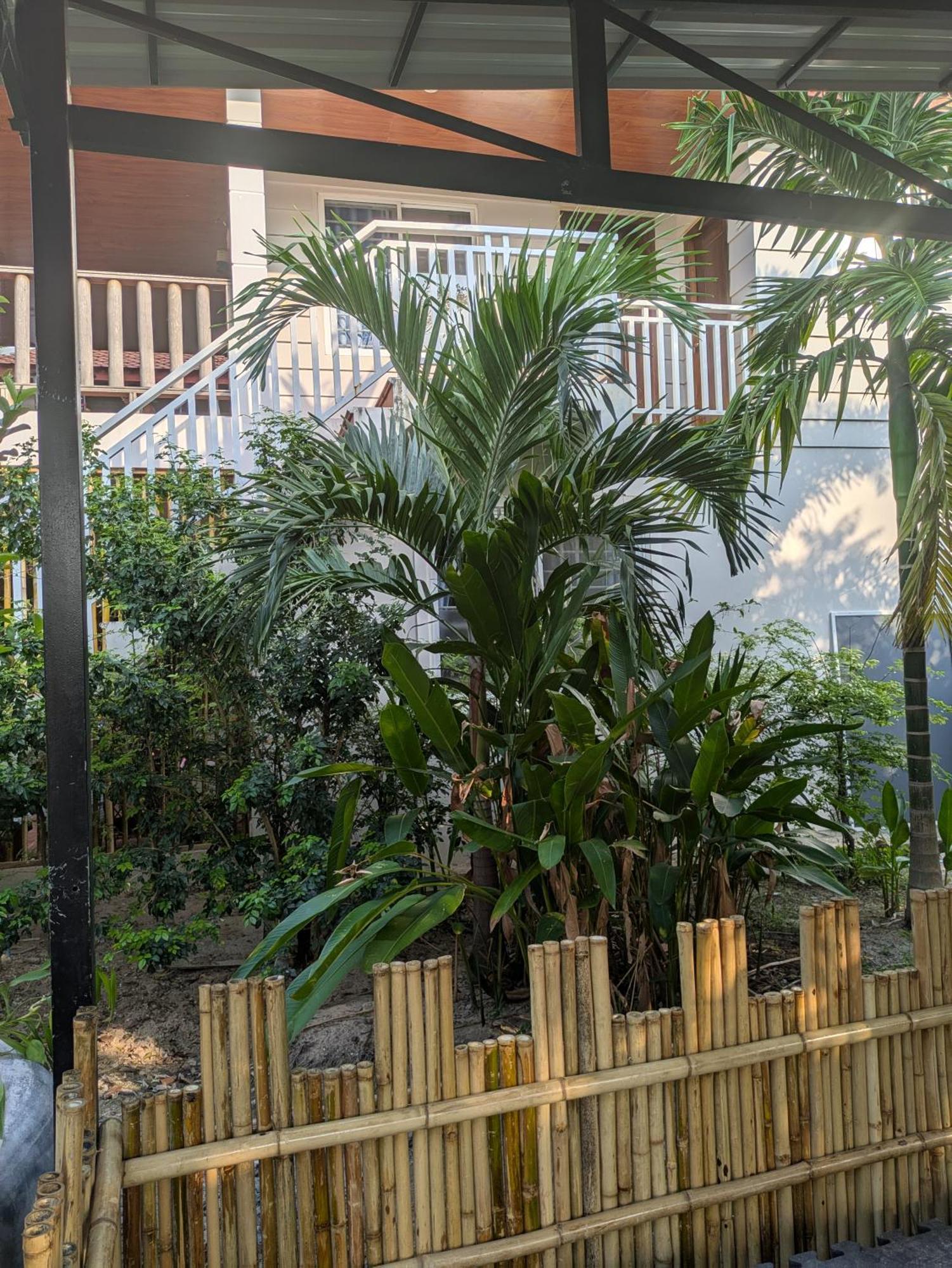 קמפוט Coconut Lodge מראה חיצוני תמונה